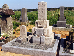 �A�t�^�[�ʐ^