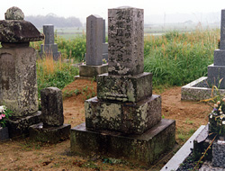 �r�t�H�[�ʐ^