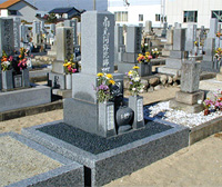 ��ʓI���É��^�ʐ^