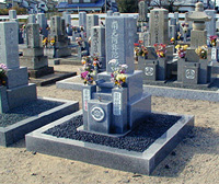 ��ʓI�_�ˌ^�ʐ^