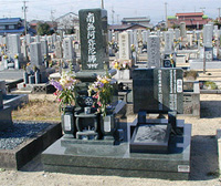 �����a����Ύʐ^